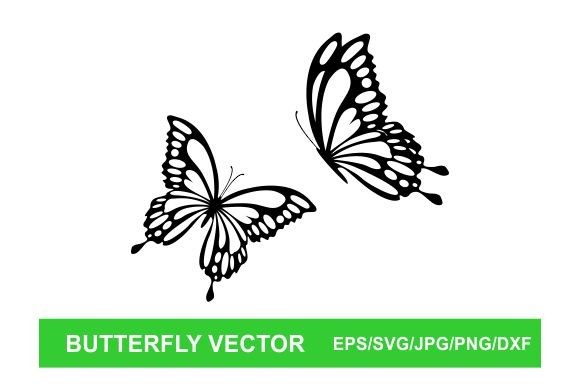 Download Butterfly Vector - Butterfly vector Collection